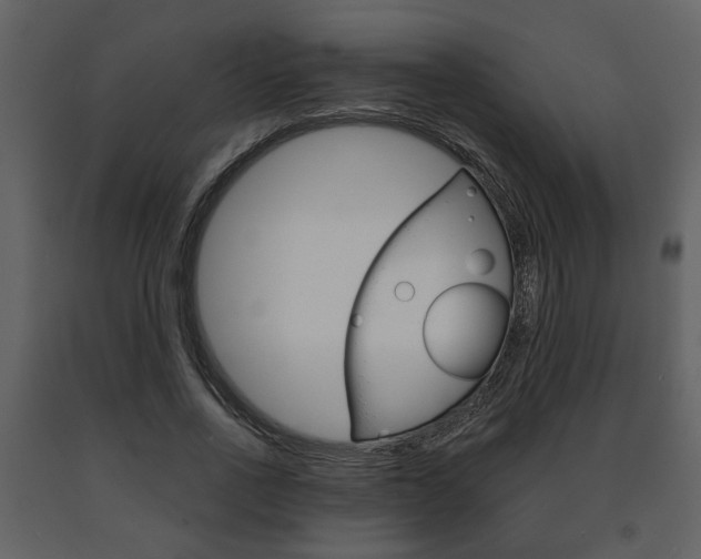 X0000091680734200708231107