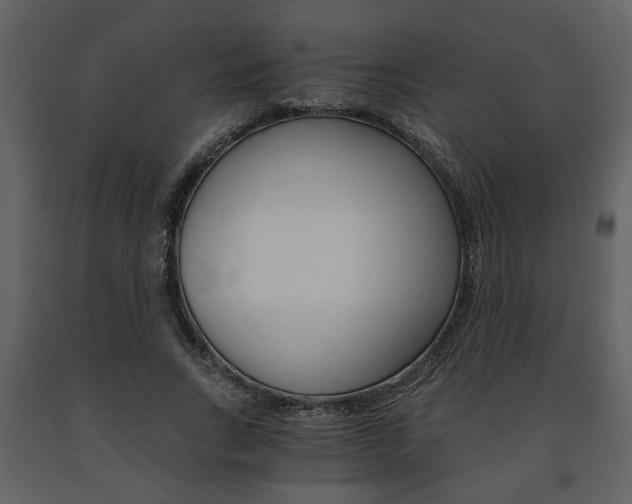 X0000091680735200708231107