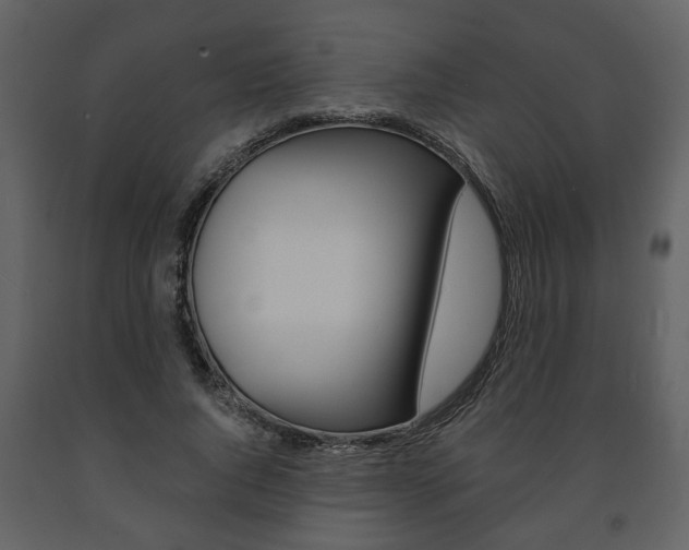 X0000091680736200708231107