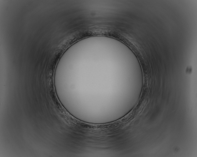 X0000091680737200708231107