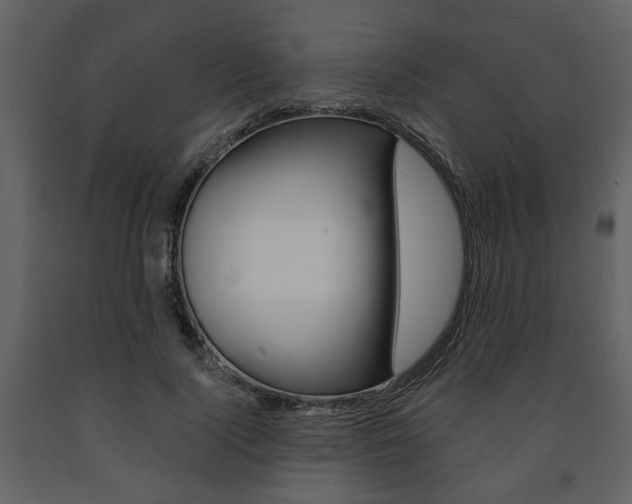 X0000091680740200708231107
