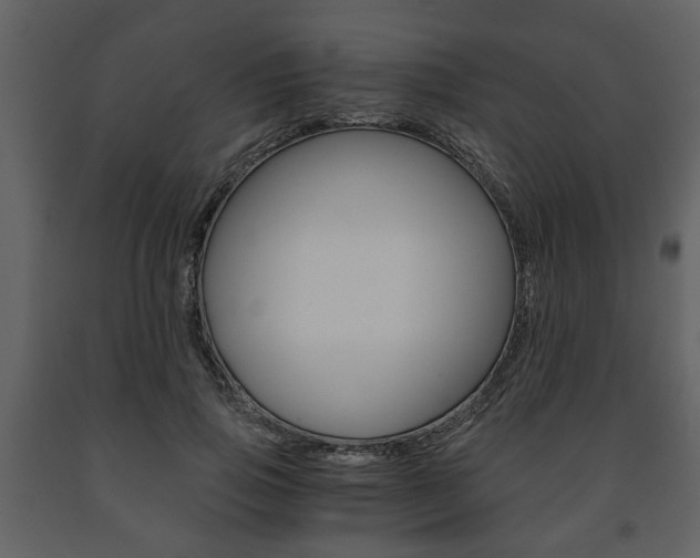X0000091680741200708231107