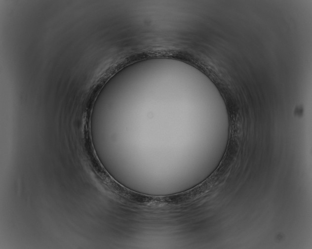 X0000091680742200708231107