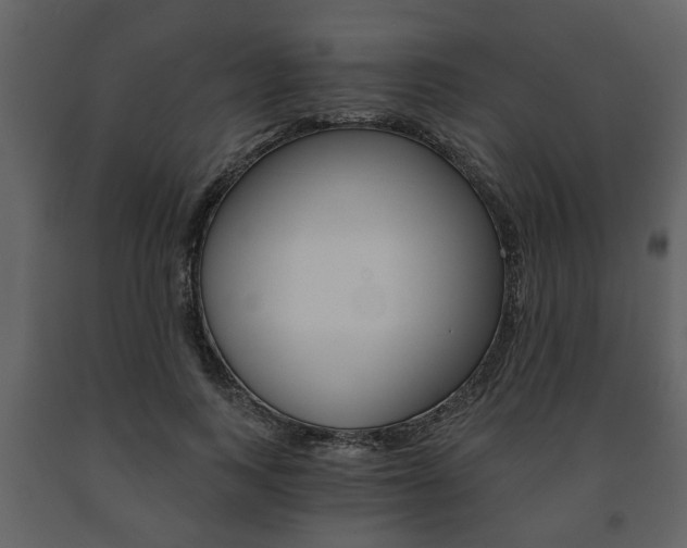 X0000091680743200708231107