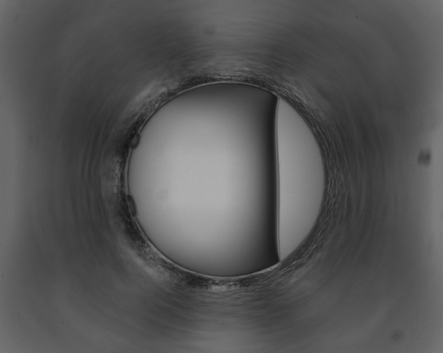 X0000091680744200708231107