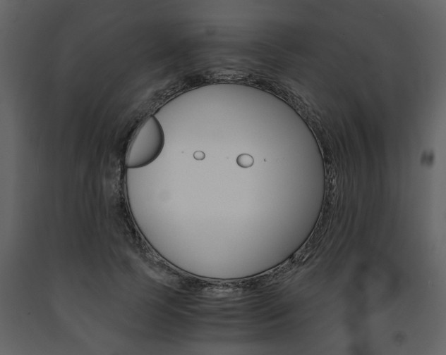 X0000091680745200708231107