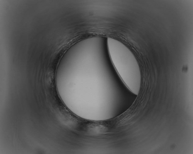 X0000091680747200708231107