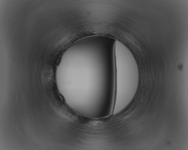 X0000091680748200708231107