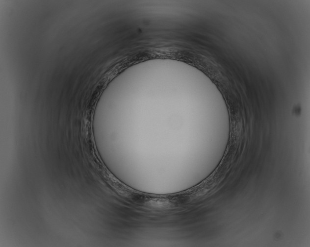 X0000091680749200708231107