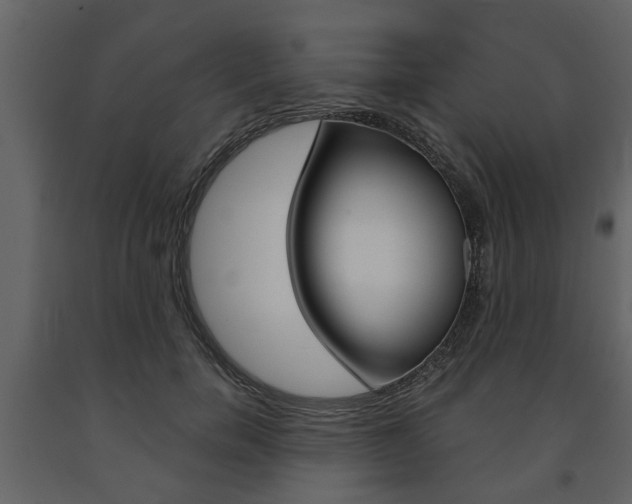 X0000091680750200708231107