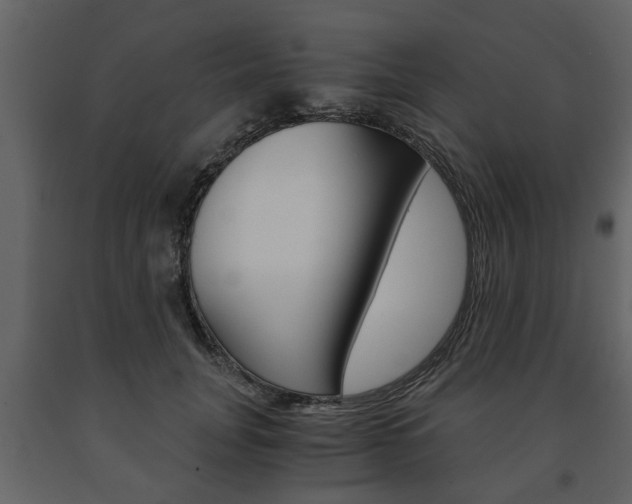 X0000091680751200708231107