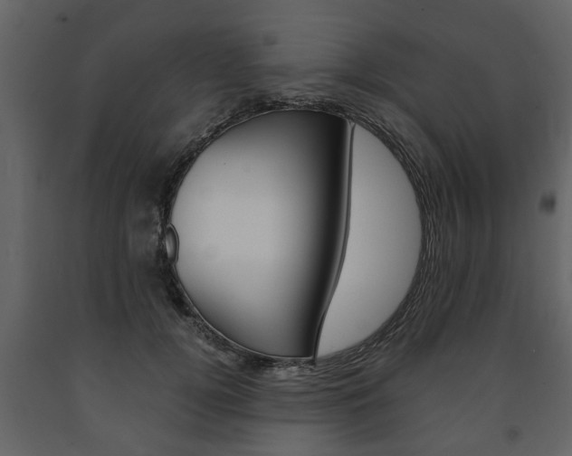 X0000091680752200708231107