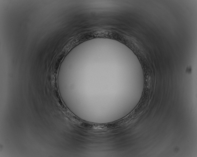 X0000091680753200708231107
