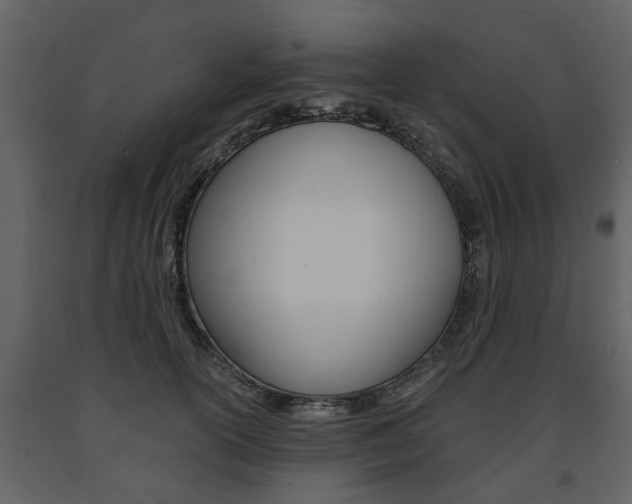 X0000091680754200708231107