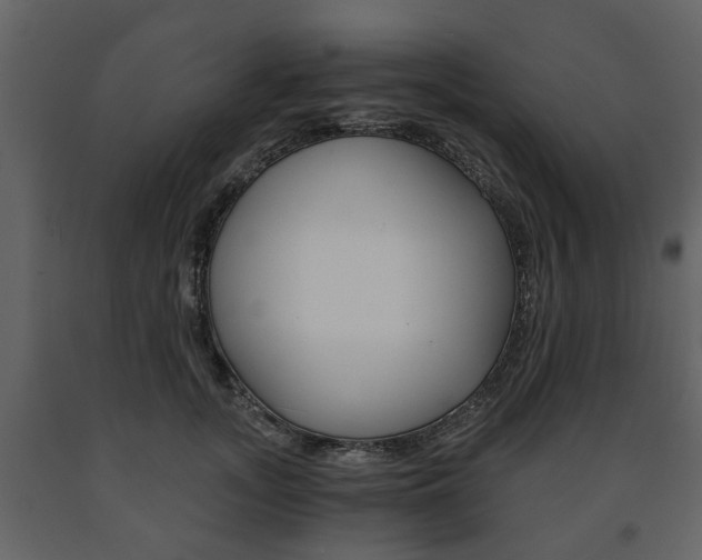 X0000091680755200708231107