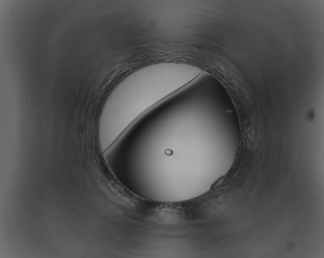 X0000091680756200708231107