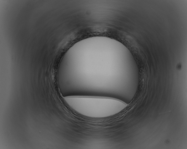 X0000091680758200708231107