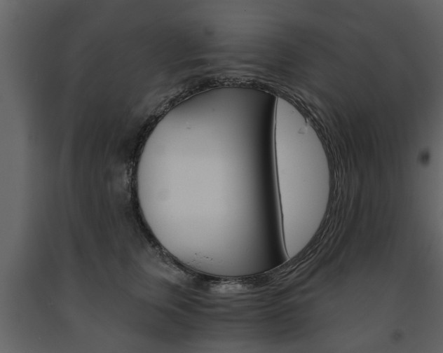 X0000091680759200708231107