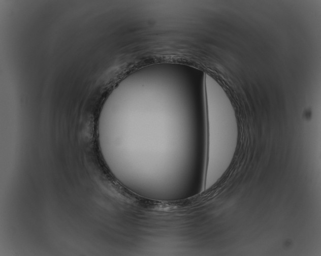 X0000091680760200708231107