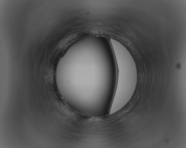 X0000091680762200708231108