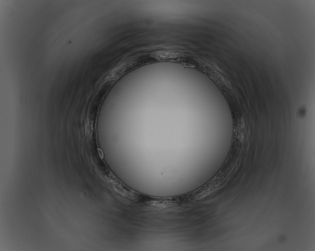 X0000091680763200708231108
