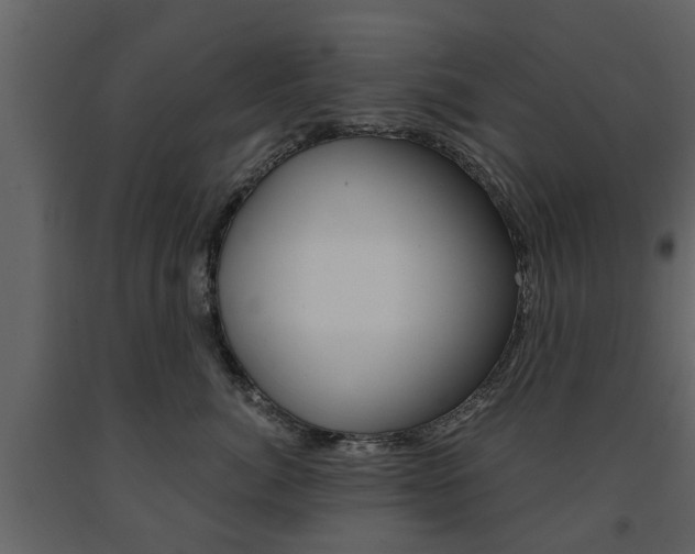 X0000091680764200708231108