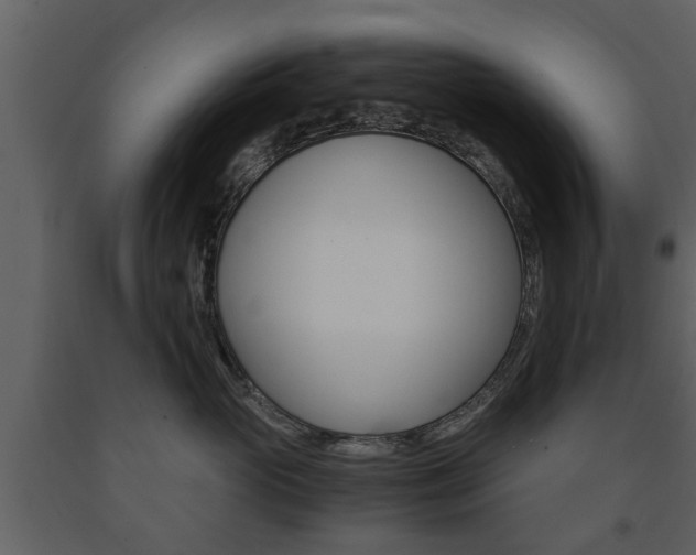 X0000091680765200708231108