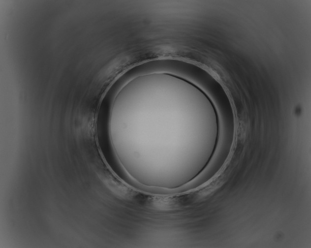 X0000091680766200708231108
