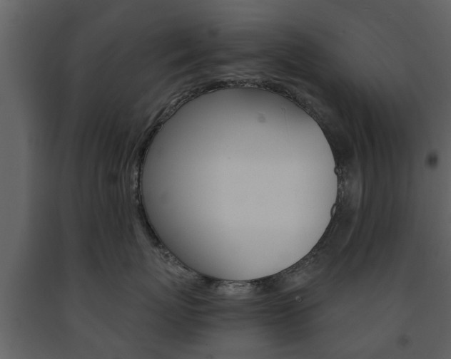 X0000091680767200708231108