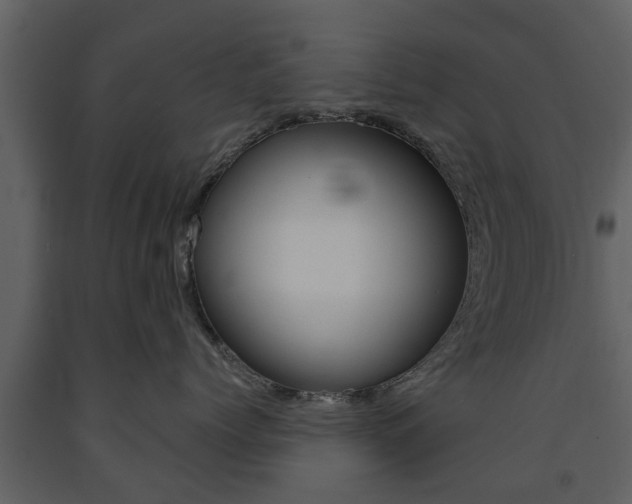 X0000091680768200708231108