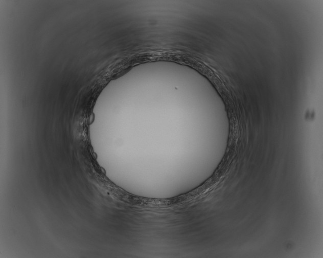 X0000091680770200708231107
