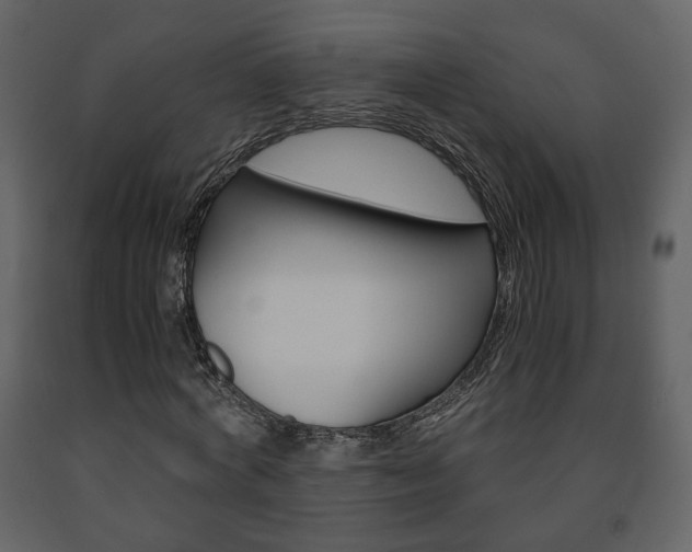 X0000091680772200708231107