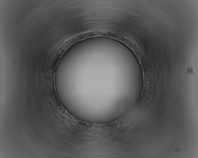 X0000091680773200708231107