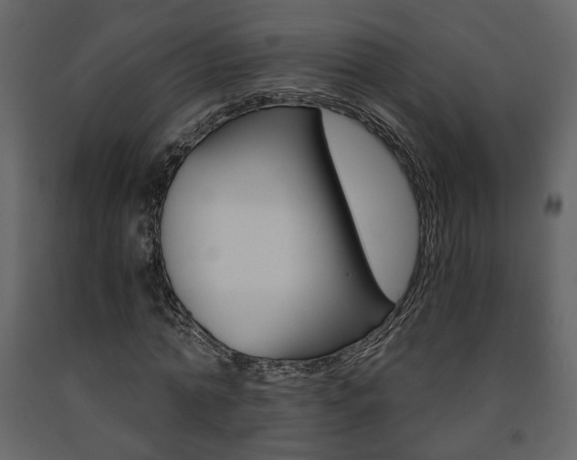 X0000091680774200708231107