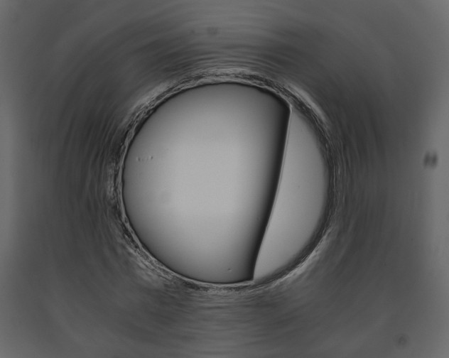 X0000091680777200708231107