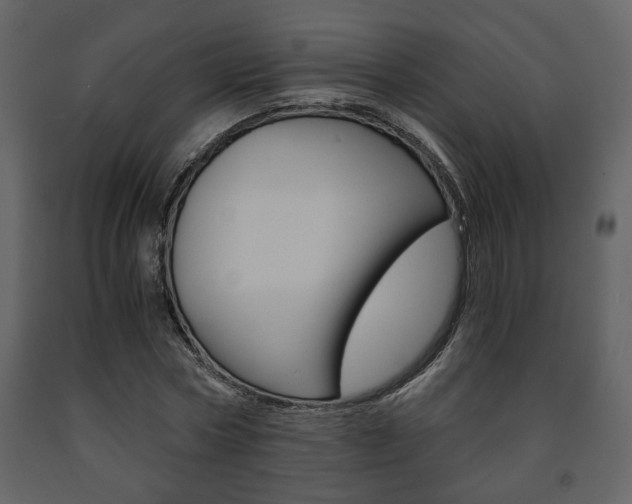 X0000091680778200708231107