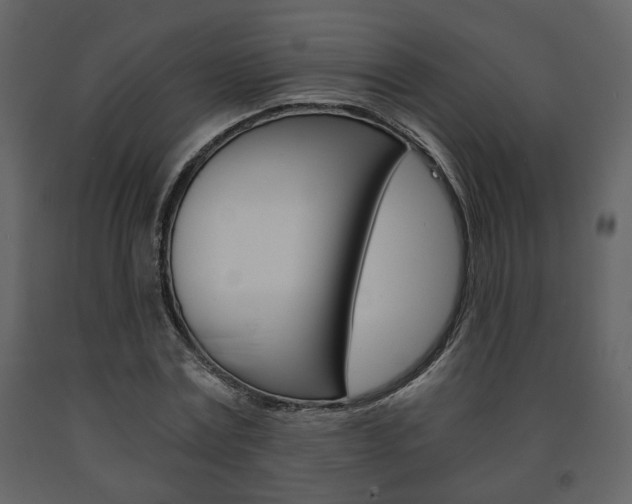 X0000091680779200708231107
