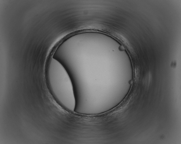 X0000091680780200708231107