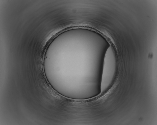 X0000091680781200708231107