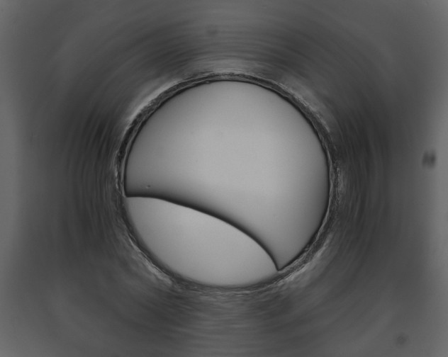 X0000091680782200708231107