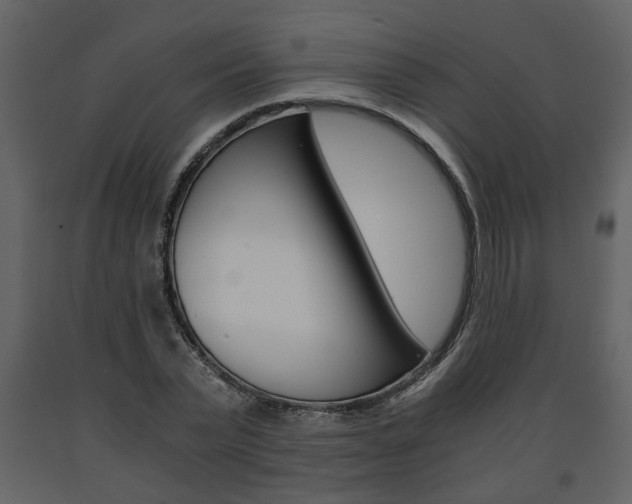 X0000091680783200708231107