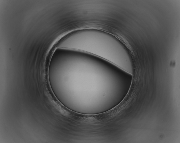 X0000091680784200708231107