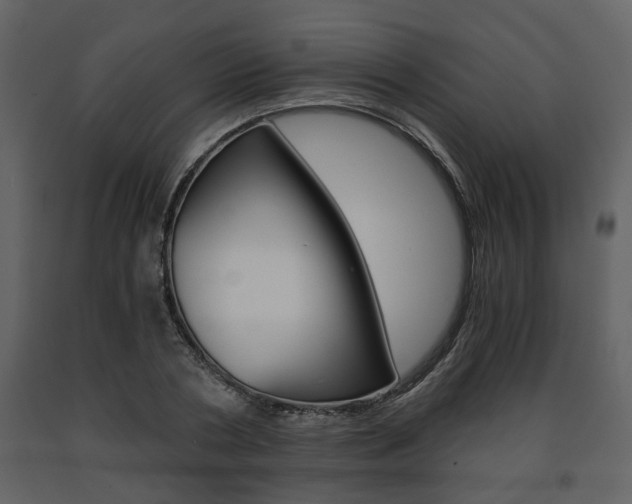X0000091680786200708231107