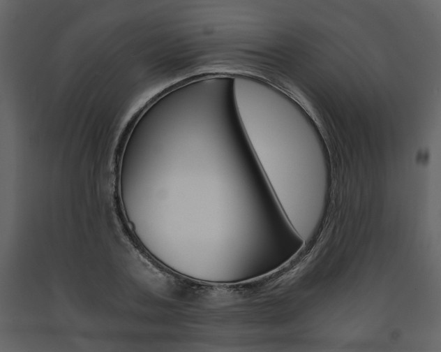 X0000091680787200708231107