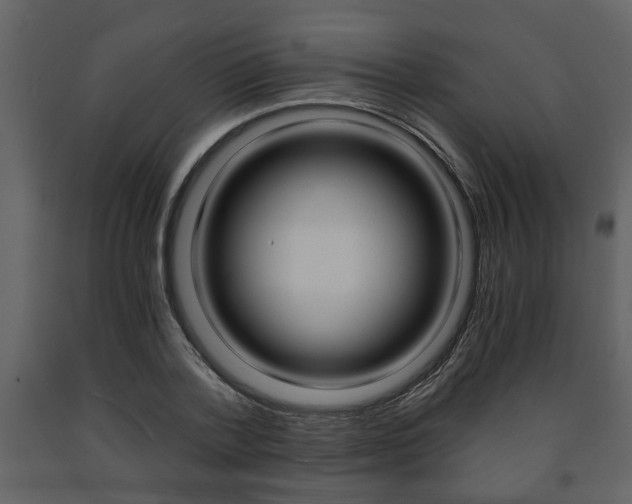 X0000091680788200708231106