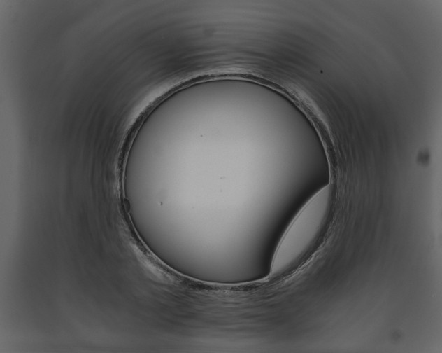 X0000091680789200708231106