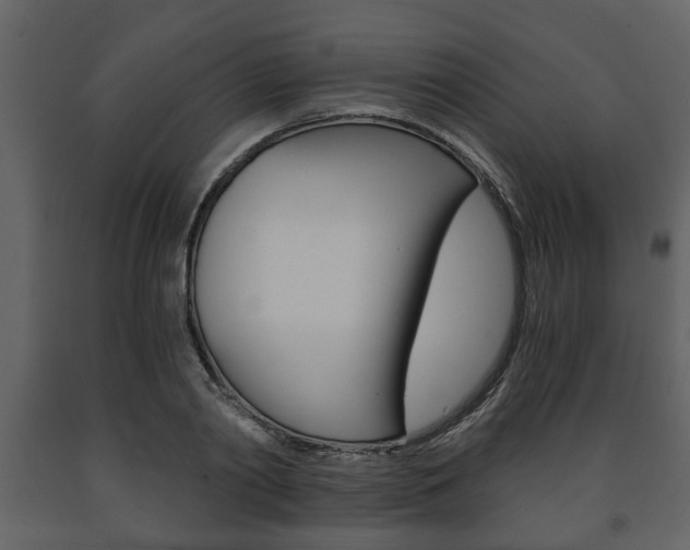 X0000091680790200708231106