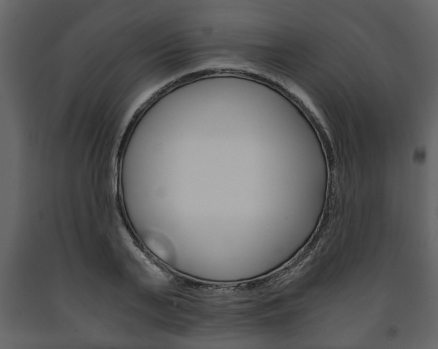 X0000091680791200708231106