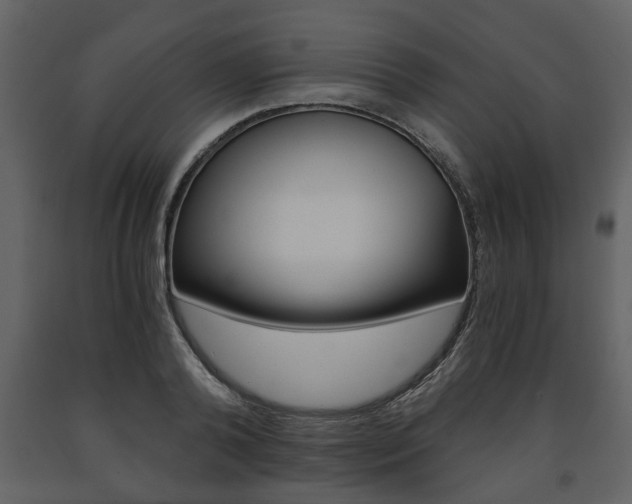 X0000091680792200708231106