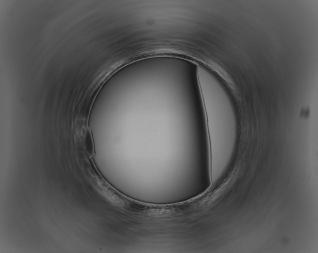 X0000091680793200708231106